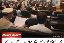خیبرپختونخوا کے لیے 11 رکنی مشاورتی کونسل کی تشکیل سے متعلق وفاقی حکمنامہ